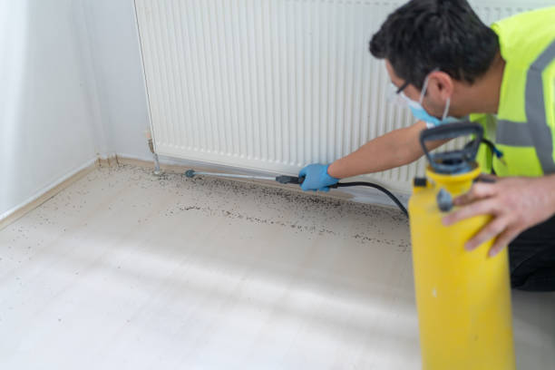 Best Residential Pest Control  in Muttontown, NY